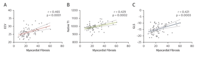 심장 MRI (ECV, T1), 심장특수초음파(스트레인:GLS)와 조직에서 측정한 심장근육섬유화 (Myocardial fibrosis) 정도와의 연관성