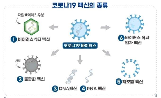 코로나19 백신의 종류 및 원리....... ➊ (바이러스벡터 백신) 코로나19 바이러스의 표면항원 유전자를 다른 바이러스(아데노바이러스 등) 주형에 넣어 주입해 체내에서 표면항원 단백질을 생성함으로써 면역반응 유도예 : 아스트라제네카社(영국), 얀센社(미국) ➋ (불활화 백신) 사멸시킨 코로나19 바이러스를 체내 주입해 면역반응 유도예 : 시노팜社(중국 ➌ (DNA 백신) 코로나19 바이러스의 표면항원 유전자(DNA)를 주입해 체내에서 표면항원 단백질을 생성해 면역반응 유도예 : 이노비오社(미국) ➍ (RNA 백신) 코로나19 바이러스의 표면항원 유전자를 RNA 형태로 주입해 체내에서 표면항원 단백질을 생성해 면역반응 유도예 : 화이자社(미국), 모더나社(미국) ➎ (재조합 백신) 유전자재조합 기술을 이용해 만든 코로나19 바이러스의 표면항원 단백질을 직접 주입하여 면역반응 유도예 : 노바백스社(미국) ➏ (바이러스 유사입자 백신) 코로나19 바이러스 표면항원 단백질을 바이러스와 유사한 입자 모양으로 만들어 주입하여 면역반응 유도예 : 인도 혈청연구소