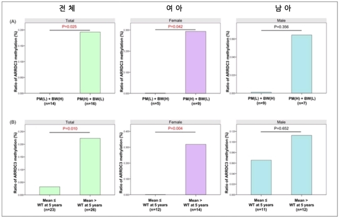 임신 중 고농도 PM2.5에 노출되고 출생 체중 평균 미만을 보인 신생아 여아에서 에너지대사에 관여하는 ARRDC3의 과메틸화를 확인하였으며(그림 3A), 이후 5세 체중이 평균 미만인 여아에서도 ARRDC3의 과메틸화를 확인함. (그림 3B)