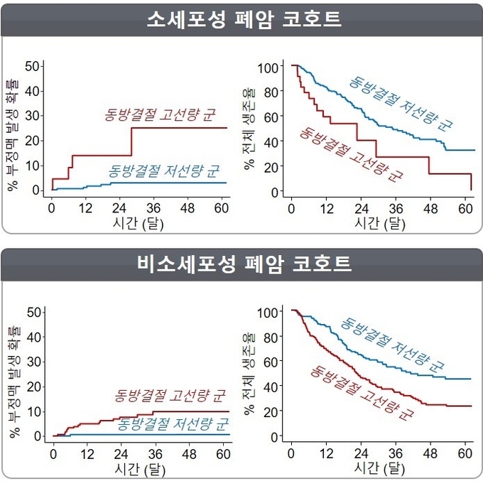 소세포성 폐암 코호트(위 그림)에서 동방결절에 선량이 높은 경우 심방세동 발생이 25%로 선량이 낮았던 환자군(2.7%)에 비해 높게 나타났다. 비소세포성폐암 코호트에서도 역시 동방결절 선량이 높은 경우 심방세동 발생이 9.9%로 선량이 낮았던 환자군(0.7%)에 비해 높게 나타났다.