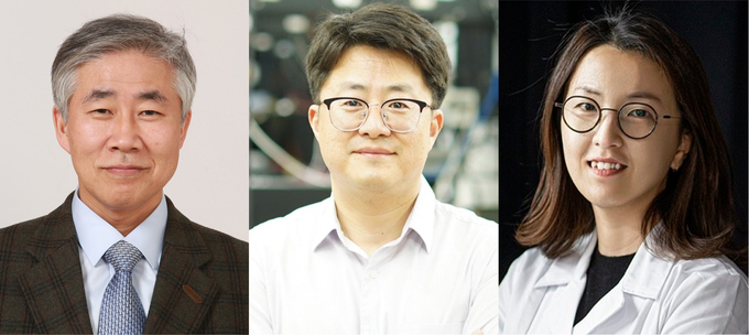 서울대병원 백선하 교수·포항공대 김철홍·장진아 교수