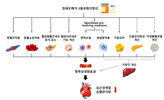 오메가3가 동맥경화증을 억제하고 심혈관위험을 낮추는 기전