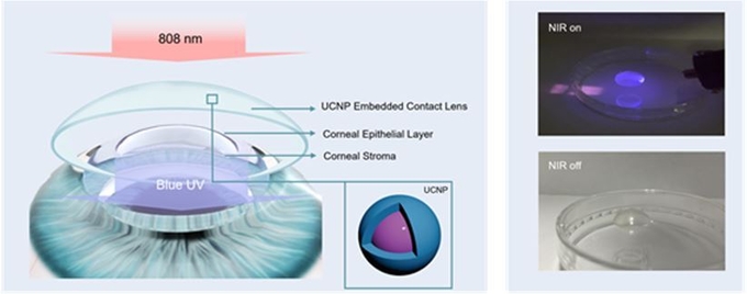 상향변환 나노입자가 담지된 콘택트렌즈 모식도. 근적외선 빛 조사 시 자외선 및 청색광을 발광하는 콘택트렌즈 사진.