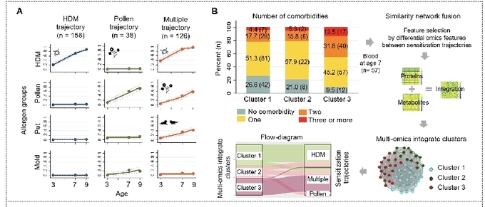 3세, 7세, 9세 피부단자시험 결과를 기반으로 소아의 알레르겐 감작 패턴을 분석한 결과 집먼지진드기 감작군(n=158), 꽃가루 감작군(n=38), 다중 알레르겐 감작군(n=126)의 세 가지 궤적(trajectory)으로 구분되었음. 또한, 감작 패턴에 따라 알레르기 비염, 아토피피부염, 천식 등 알레르기 동반질환 수에 차이가 나타났음(p<0.001).