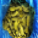 한국신텍스제약(주) 생산 공장에 무슨 일이...무더기 제조 정지