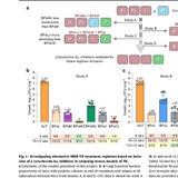 얀센, 존스홉킨스 의대 등 항생제 분야 최고 권위 기관들, 큐리언트 텔라세벡 기전 “인정”