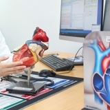 맥박은 곧 생명신호, 뇌졸중 위험 5배 높이는 부정맥... ‘심방세동’ 주기적 자가 맥박 측정 큰 도움