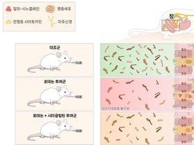 당뇨병 치료제 'DPP-4 억제제'로 파킨슨병 진행 막는 길 찾아 ...어떻게?
