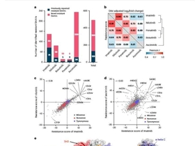 만성골수성백혈병, 항암제 치료 효과 예측 가능..."유전자 변이에 따른 맞춤형 치료" 가능성 열어