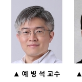 세브란스병원,‘혼합형 치매’ 여부 판단 근거 발견