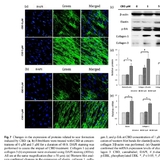환각 없는 대마 'CBD', 여드름 치료 '게임 체인저' 되나