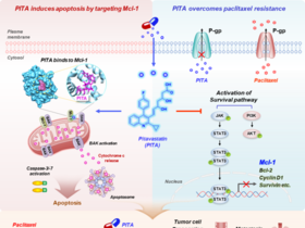 고지혈증 치료제, 난치암 치료 돌파구 되나...“이미 승인된 약물, 임상 적용 가능성 높아”