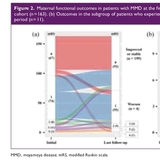 임신 전 뇌혈류 안정 여부가 관건…모야모야병 산모, 임신·출산기 뇌졸중 위험 좌우
