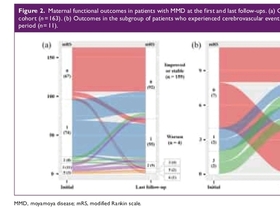 임신 전 뇌혈류 안정 여부가 관건…모야모야병 산모, 임신·출산기 뇌졸중 위험 좌우