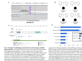 기존 검사로 놓친 14.6 잡아 냈다…전장 유전체 분석의 임상적 가치 확인