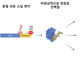 AI가 ‘의미 불분명 변이’의 침묵을 깼다…종결 코돈 변이 판독 새 기준 제시