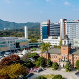 서울대병원, 영상 판독·의료 추론 특화 AI 2종 개발...전 세계 공개