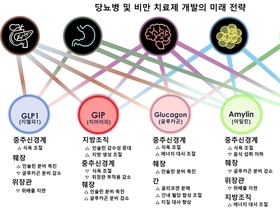 비만약, 체중 20 감량 시대 열리나... GLP-1 복합 전략 급부상