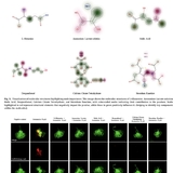 "항생제에 의한 난청 부작용 억제 후보 약물 발굴"...난청 부작용 억제 약물 개발 속도 내나
