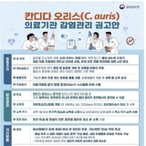 칸디다 오리스 감염증, 4급 법정감염병 지정… 의료기관 감시·관리 강화