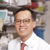 면역항암제 고티스토바트, 전이성 편평 비소세포폐암 생존율 개선