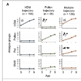 “소아 알레르기, ‘다중 감작’일수록 위험 껑충"…임신 중 비타민D 상태, 아이 면역 건강 좌우