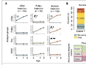 “소아 알레르기, ‘다중 감작’일수록 위험 껑충"…임신 중 비타민D 상태, 아이 면역 건강 좌우
