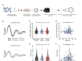 아주대병원 ,세포 속 ‘24시간 생체시계’ 흔들릴수록...뇌 노화 및 알츠하이머병 연관 뚜렷