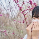 “봄철 재채기·콧물, 감기 아닌 알레르기 비염일 수도”…예방은 ‘노출 최소화’가 핵심