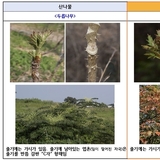 “산나물인 줄 알고 먹었다간 낭패 ” ...전문가도 구분하기 어려운 산나물과 독초, 봄철 사고 주의보