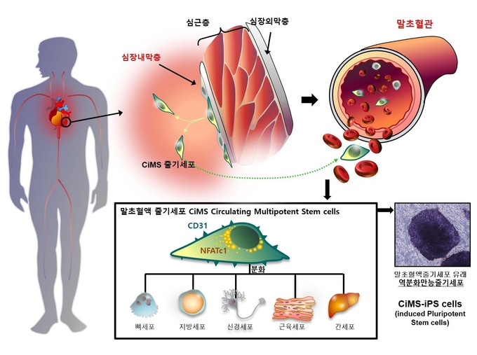 서울대병원, 서울대병원,